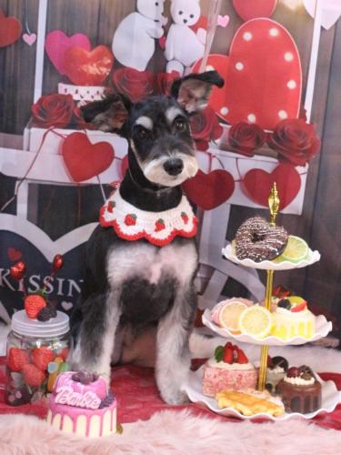 20250224音ちゃん